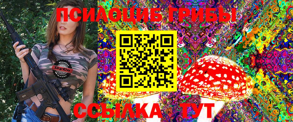 Псилоцибиновые грибы Psilocybine cubensis Лобня