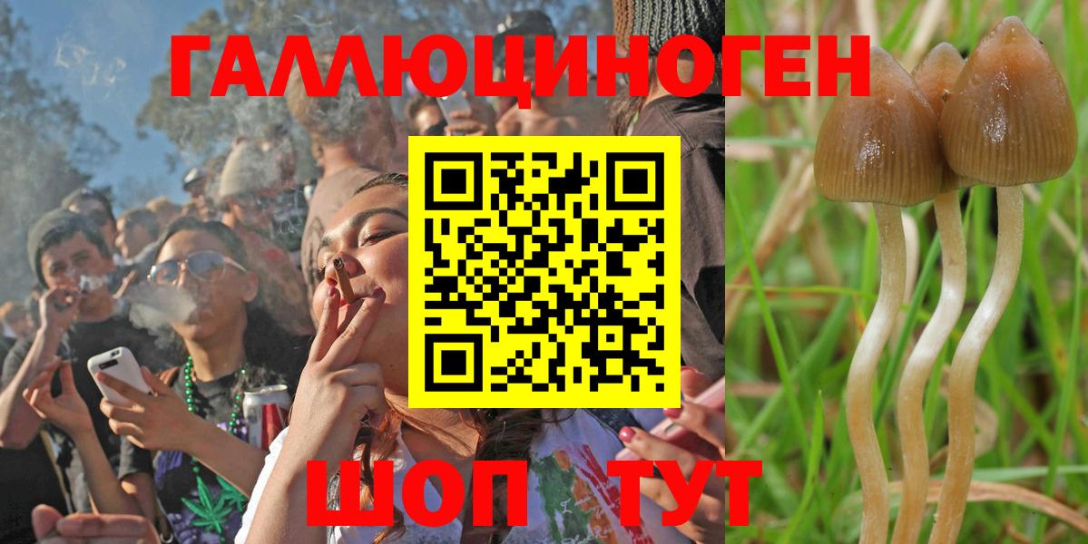 Псилоцибиновые грибы MAGIC MUSHROOMS  Вход с VPN  Лобня  Галлюциногенные грибы GOLDEN TEACHER 